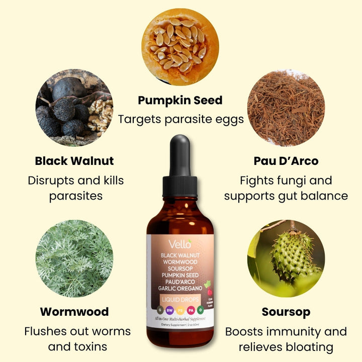 Vermora™ Stimuleert een gezonde darmflora