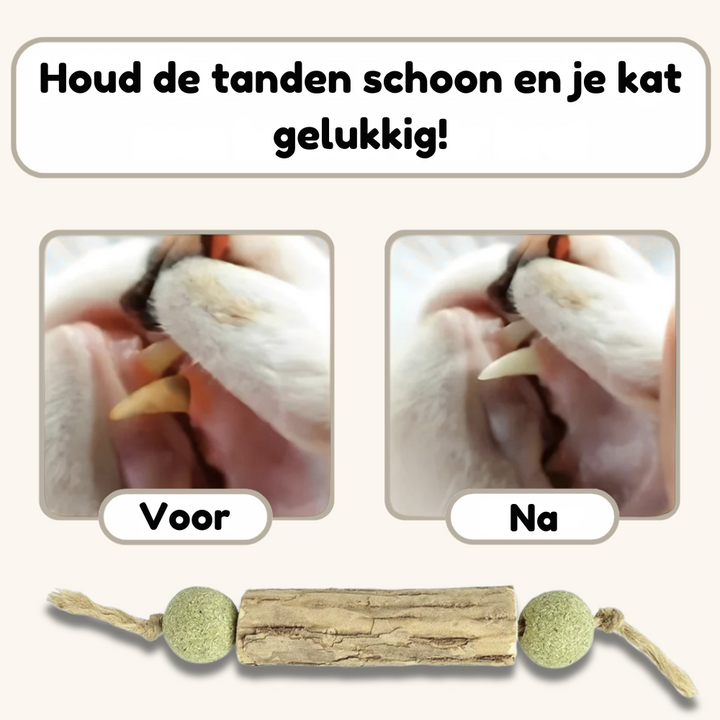 HappyMouth™ Tandenpoets speeltje met kattenkruid (4-pack)