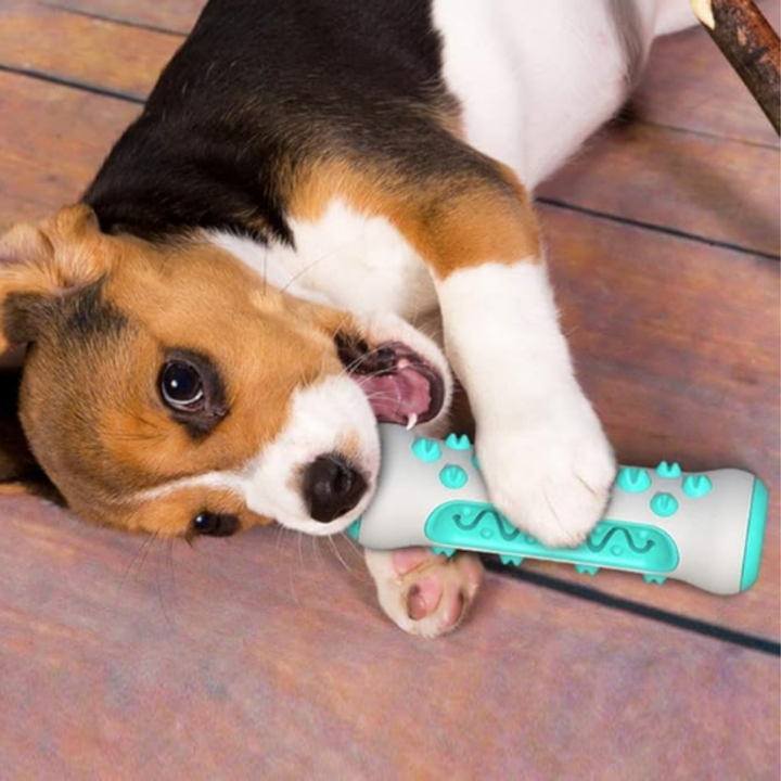 Dentilo™ Reinigt Het Gebit van je Hond Optimaal