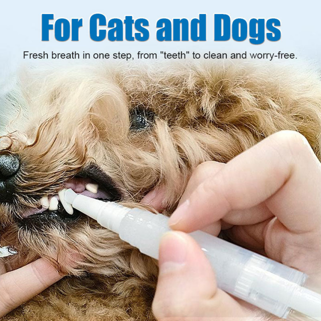 PETBRUSH - SCHONE TANDEN VOOR JE HUISDIER