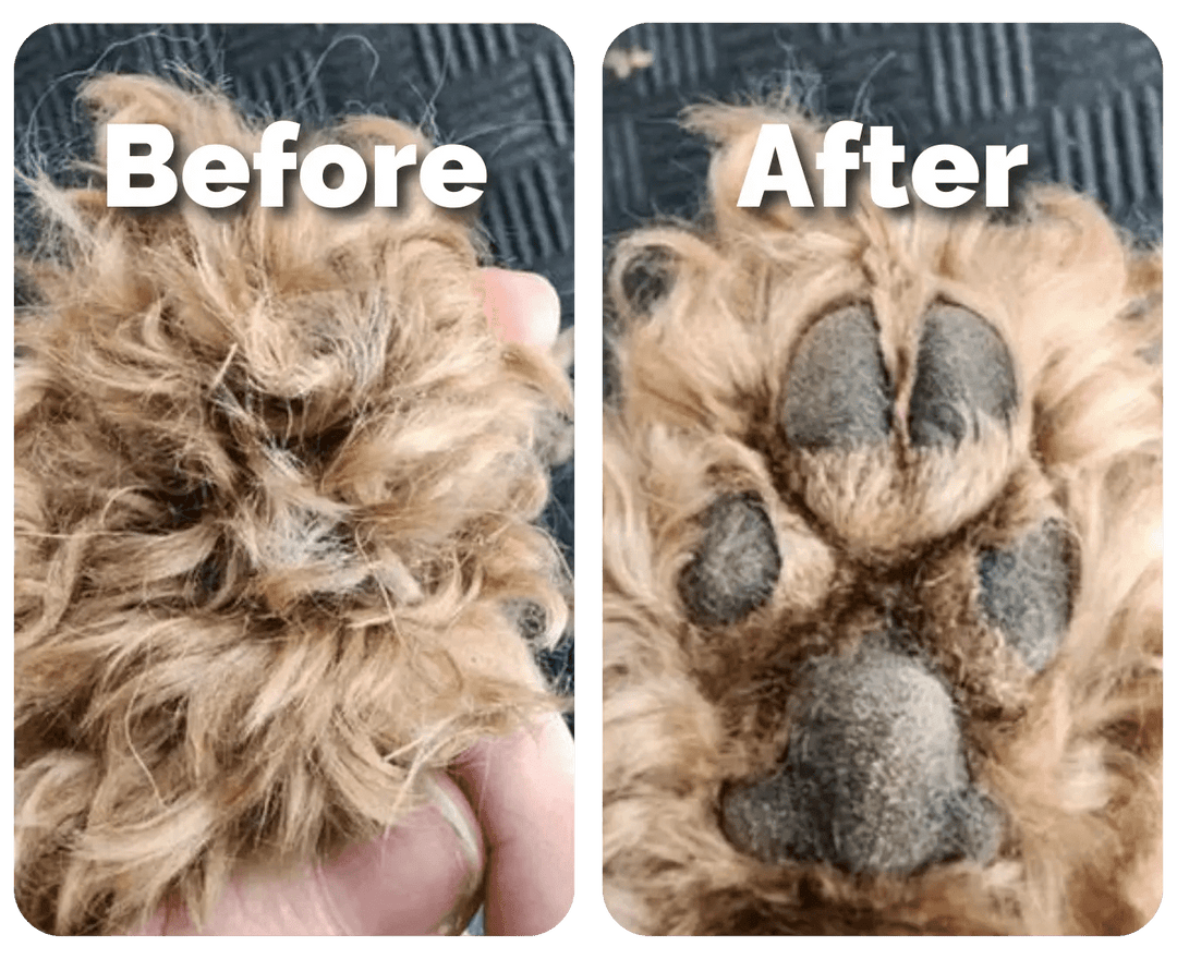 PawTidy™ Veilig Trimmen voor je Huisdier