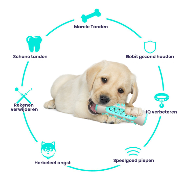 Dentilo™ Reinigt Het Gebit van je Hond Optimaal