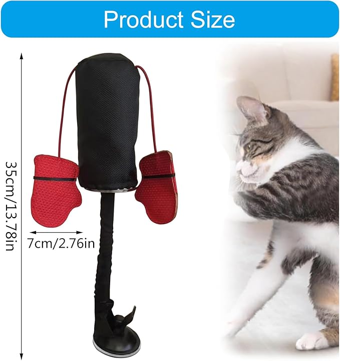 PawBox™ Houdt je kat actief en gelukkig
