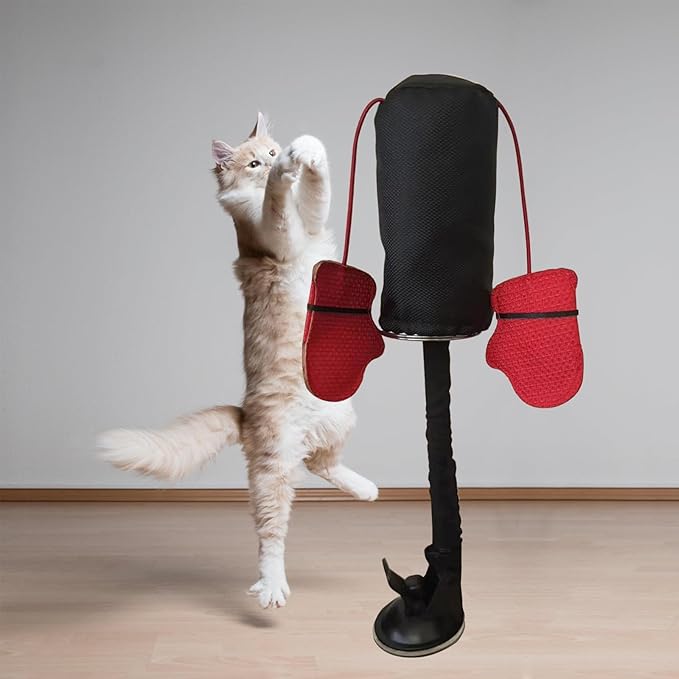 PawBox™ Houdt je kat actief en gelukkig