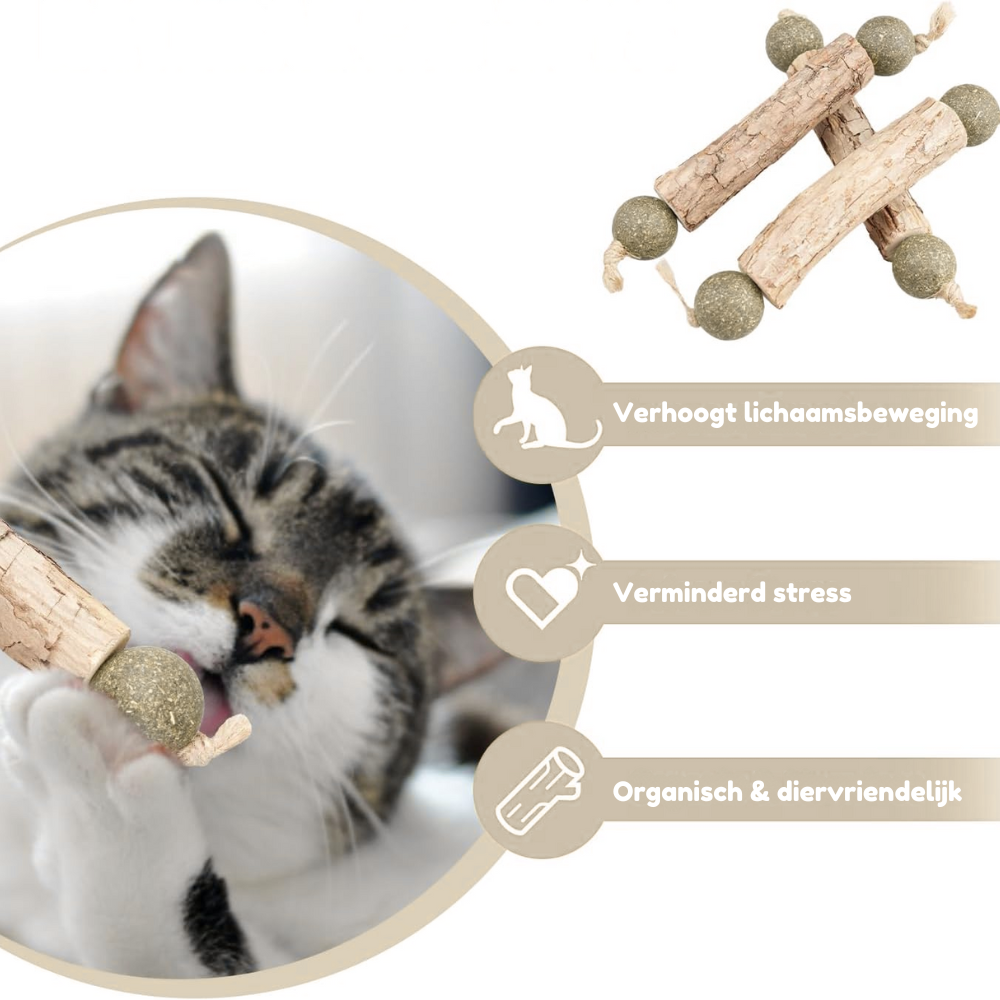 HappyMouth™ Tandenpoets speeltje met kattenkruid (4-pack)