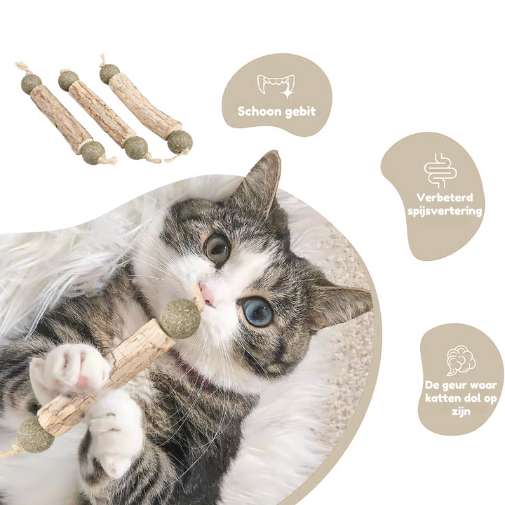 HappyMouth™ Tandenpoets speeltje met kattenkruid (4-pack)