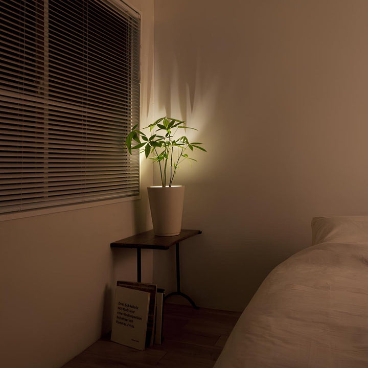 EasyStick™ Spotlight - Exclusieve Premium Lampen