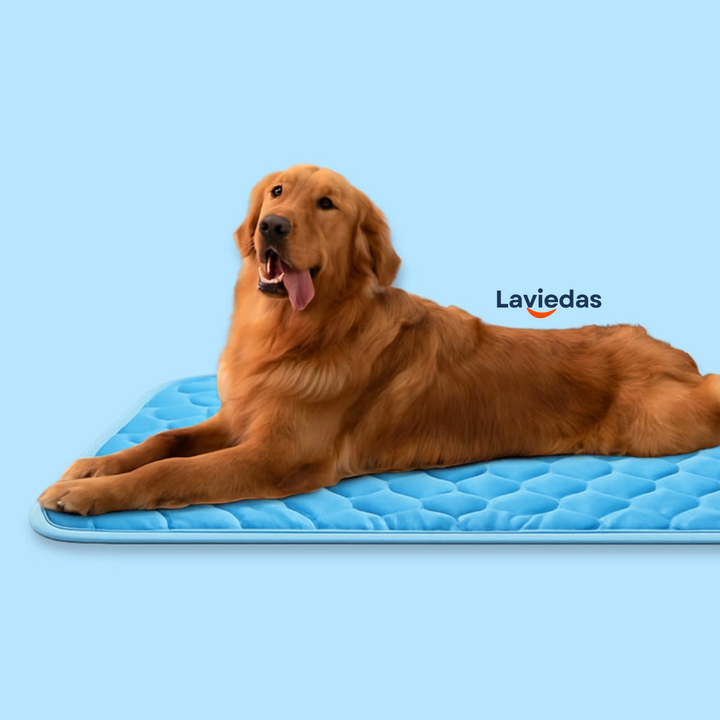 PawChill™ Koelte Voor je Huisdier Tijdens Warme Dagen
