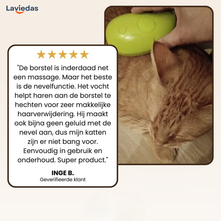 CharmPaw™ Vacht Verfrissende Stoomborstel - Voor Katten & Honden