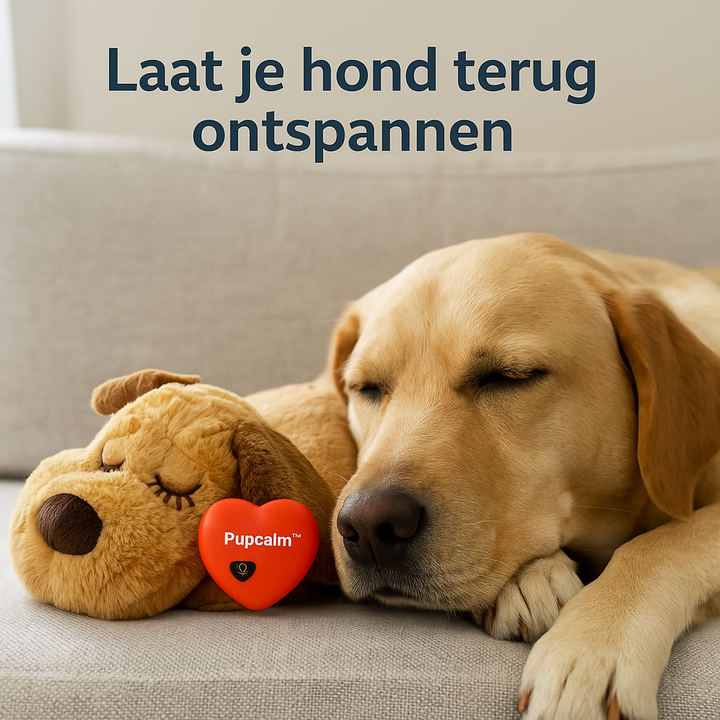 PupCalm™ Minder Stress & Angst