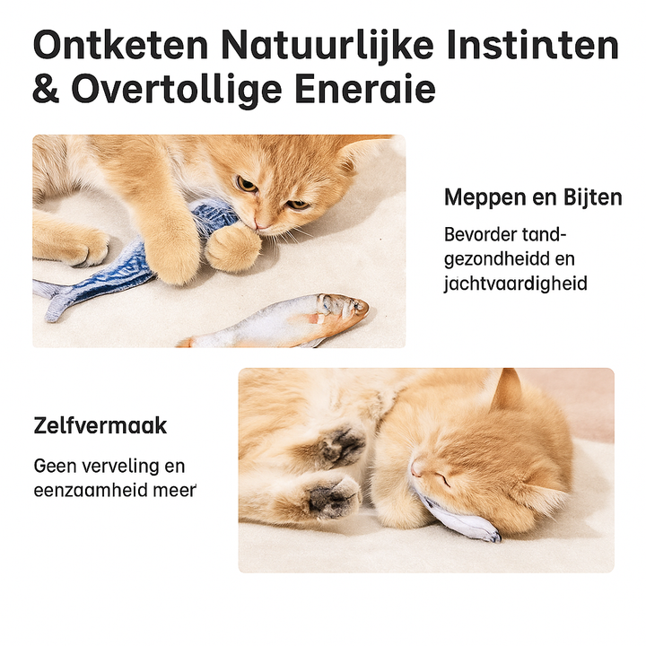 FlipFish™ Houd je Katten Actief Bezig & Verminder Stress