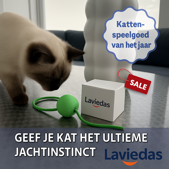 Nimboo™ Slim, Zelfrijdend Kattenspeelgoed