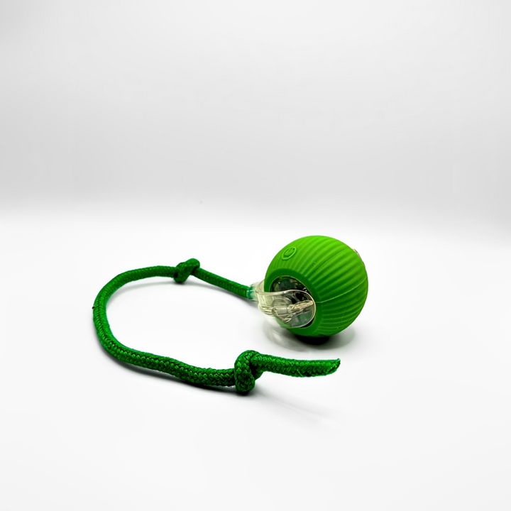 Nimboo™ Slim, Zelfrijdend Kattenspeelgoed
