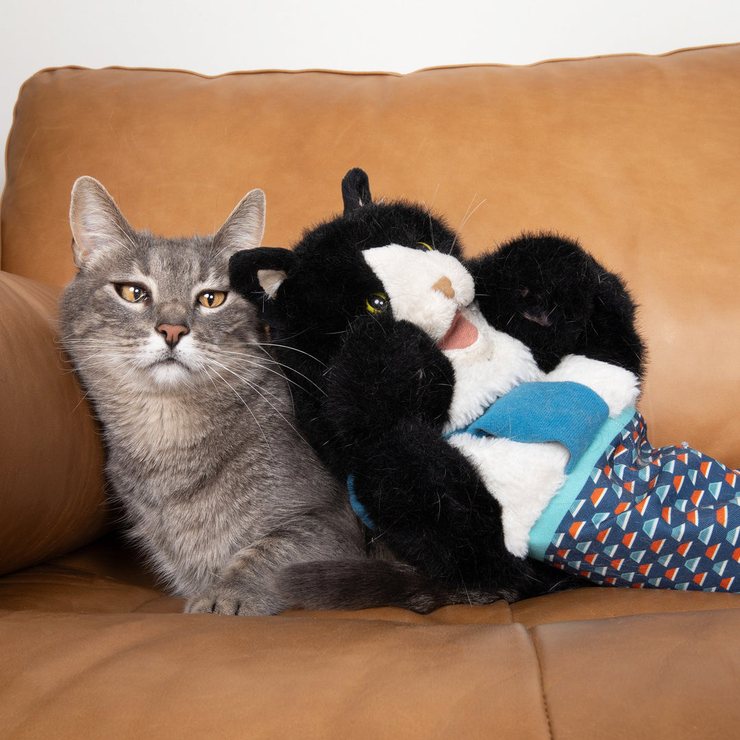 CatChamp™ Actief & Veilig Speelmaatje