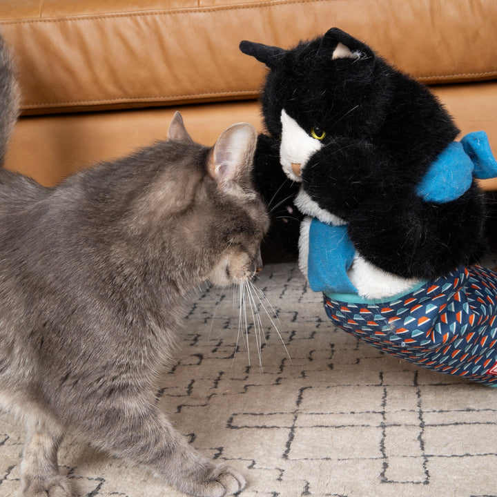 CatChamp™ Actief & Veilig Speelmaatje