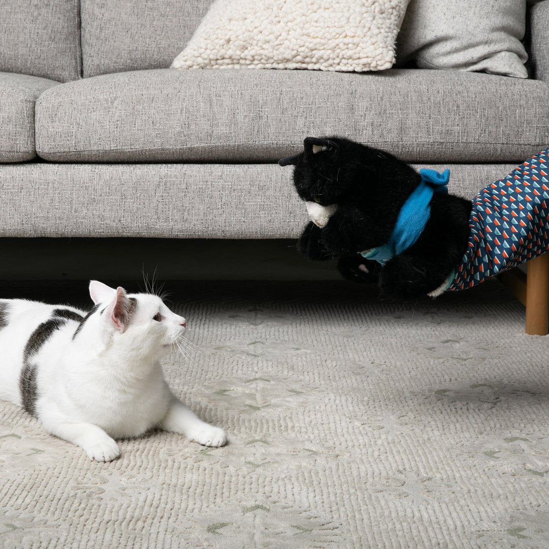 CatChamp™ Actief & Veilig Speelmaatje