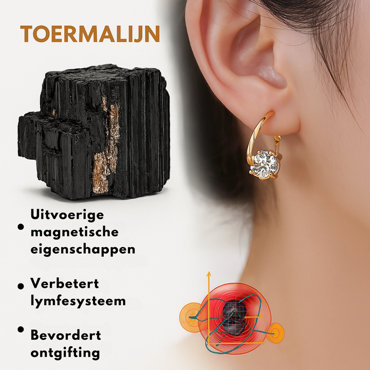 Auralis™ Magnetische Behandeling Lymfestoornissen