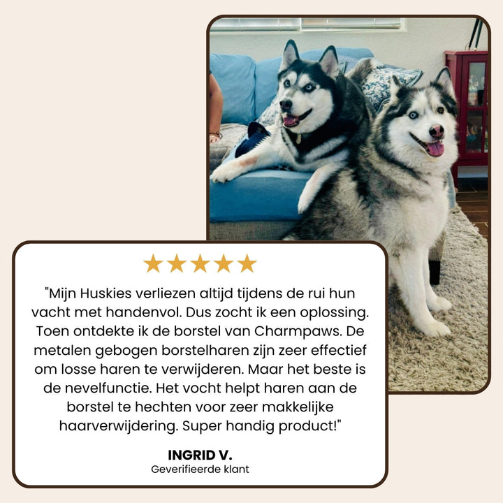 Steami Pro™ Professionele Vachtverzorging Borstel voor Huisdieren