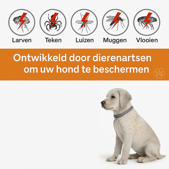 Vlooienhalsband™ Nooit meer last van vlooien!