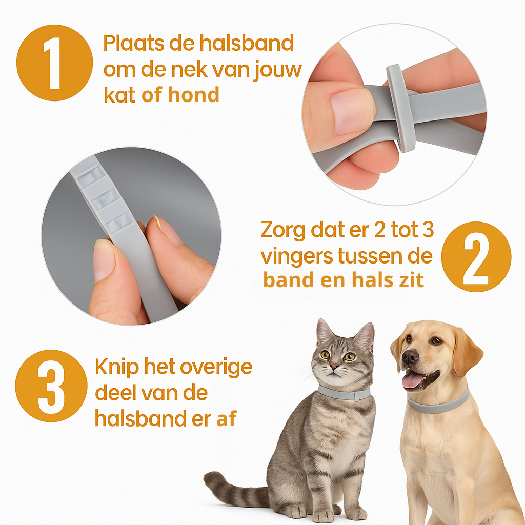 Vlooienhalsband™ Nooit meer last van vlooien!