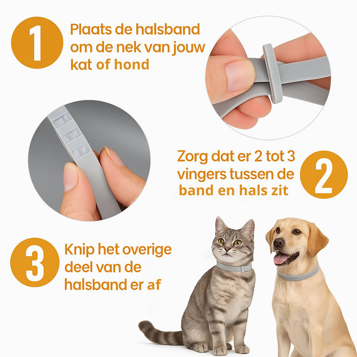 Vlooienhalsband™ Nooit meer last van vlooien!