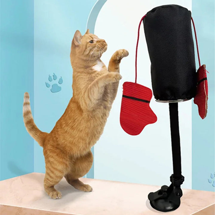 PawBox™ Houdt je kat actief en gelukkig