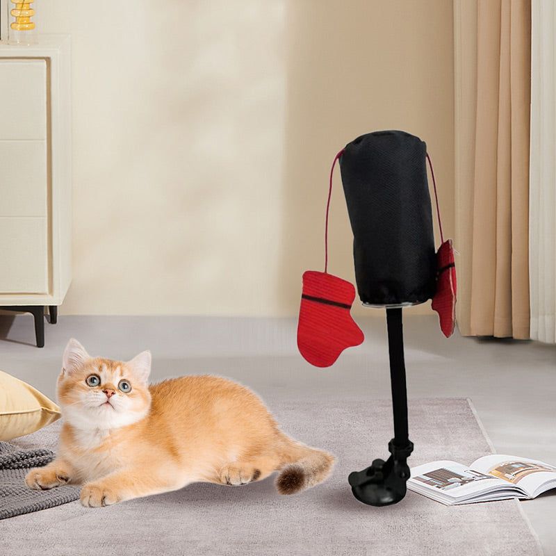 PawBox™ Houdt je kat actief en gelukkig