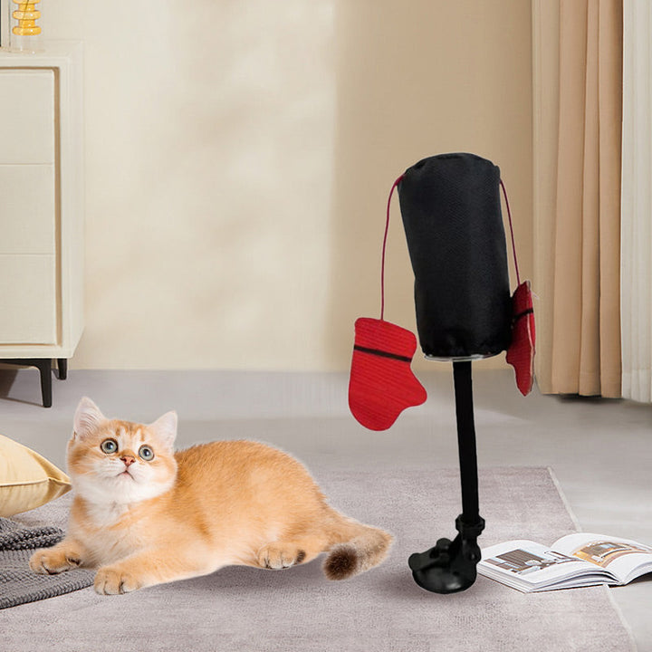 PawBox™ Houdt je kat actief en gelukkig