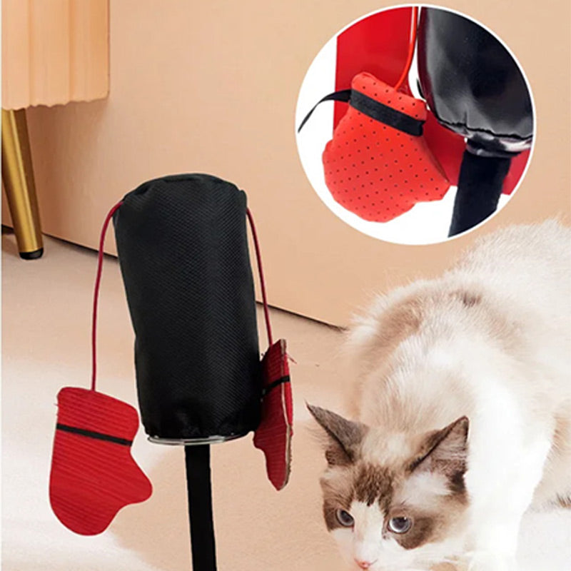 PawBox™ Houdt je kat actief en gelukkig