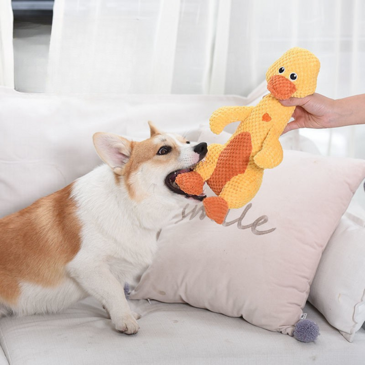 InvinciPaw™ Voor Sterke Kauwers