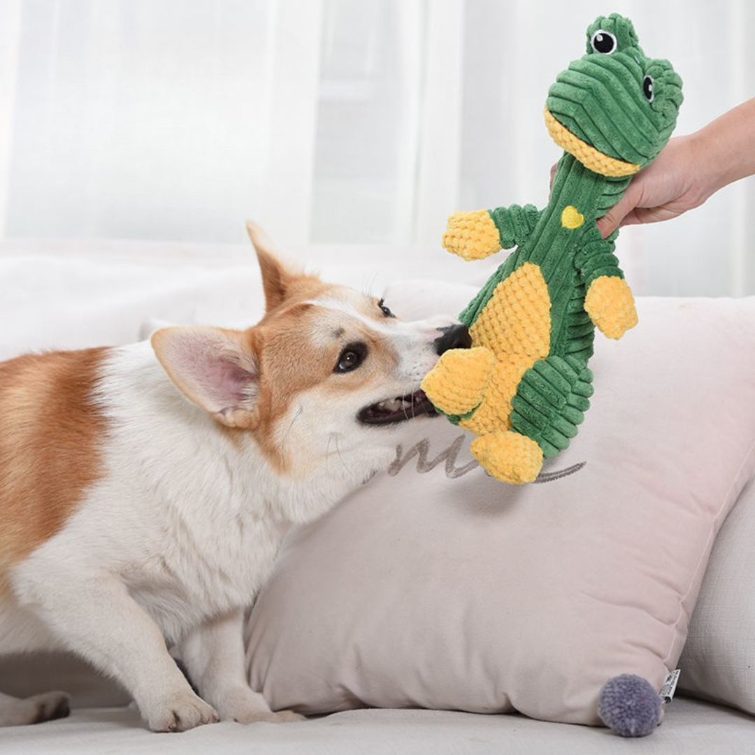 InvinciPaw™ Voor Sterke Kauwers